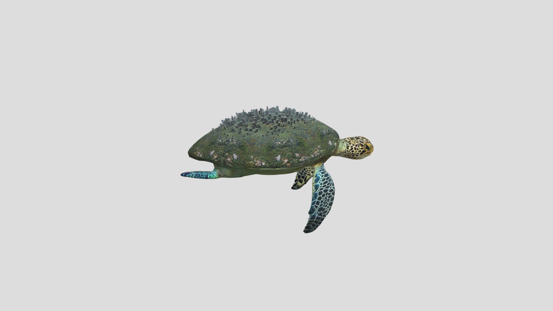 Turtle-A_mb_03