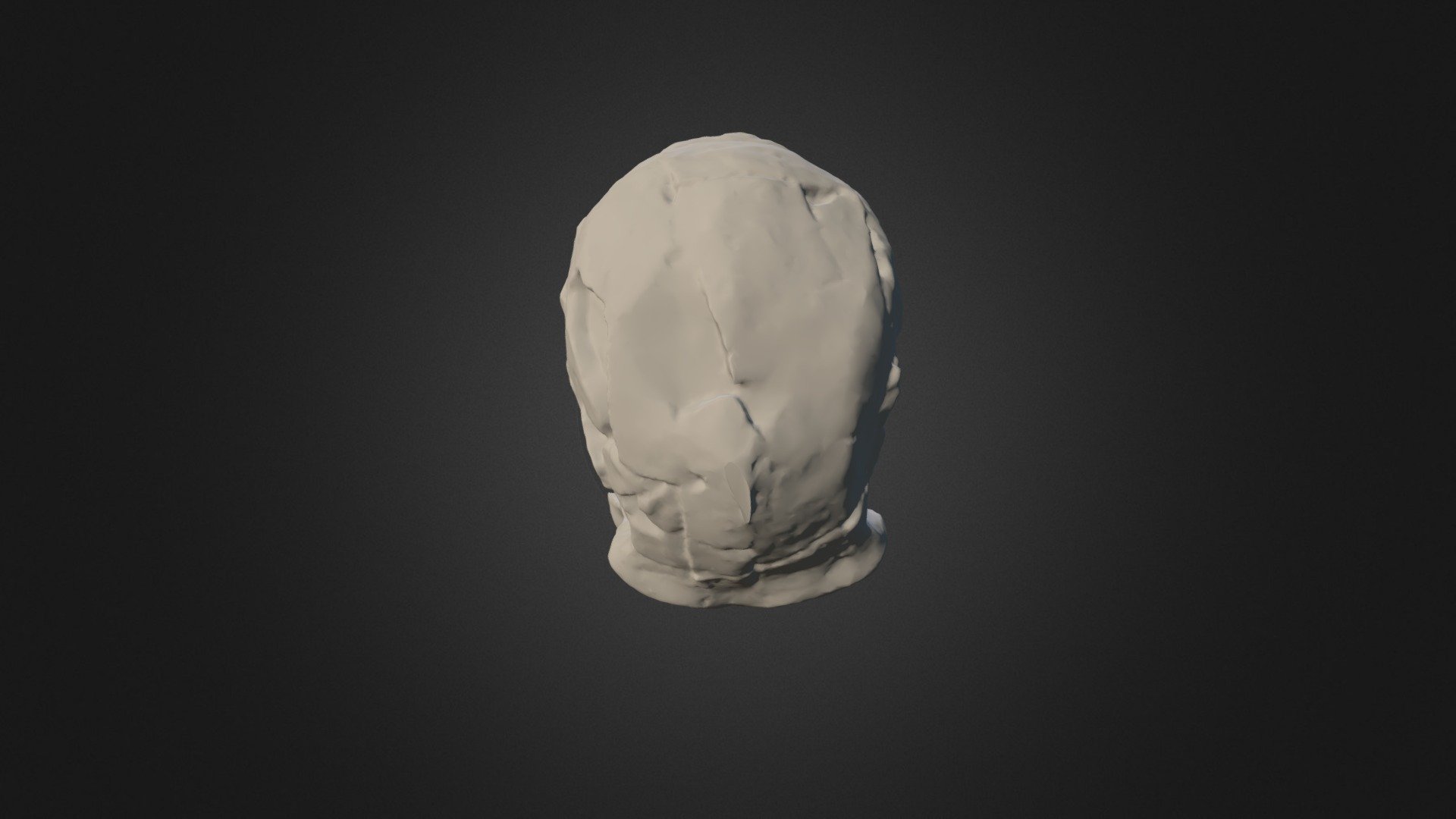 Homo erectus Sangiran - a