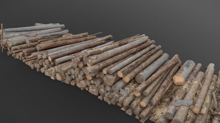 Felled trees pine logs stack heap in forest 3D Model