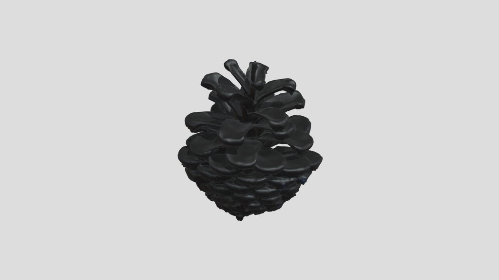 Pinecone