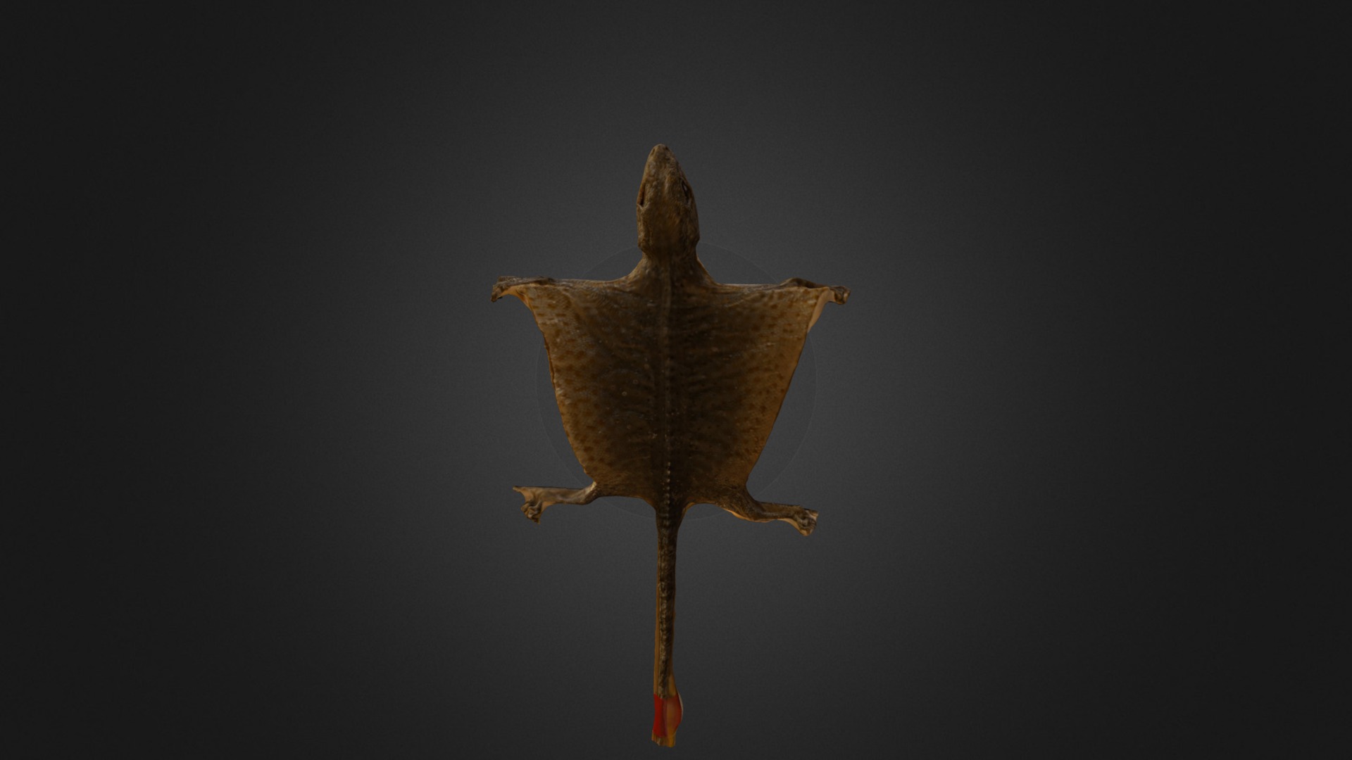 3D model Gecko - This is a 3D model of the Gecko. The 3D model is about a close-up of a leaf.