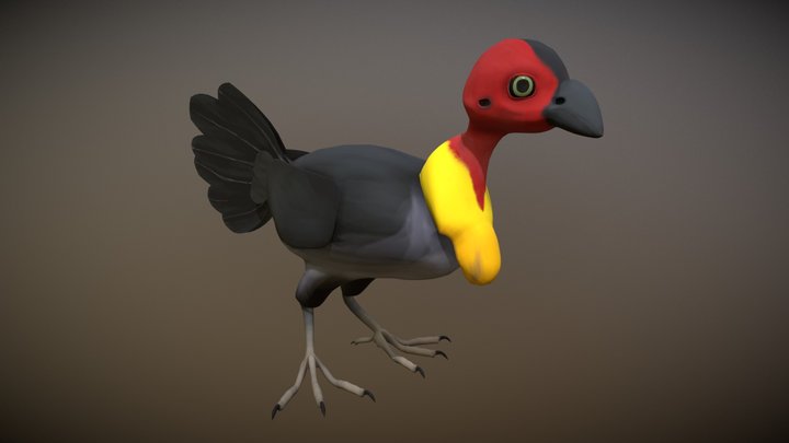 Cartoon Brush Turkey (Version 01, Reference) 3D Model