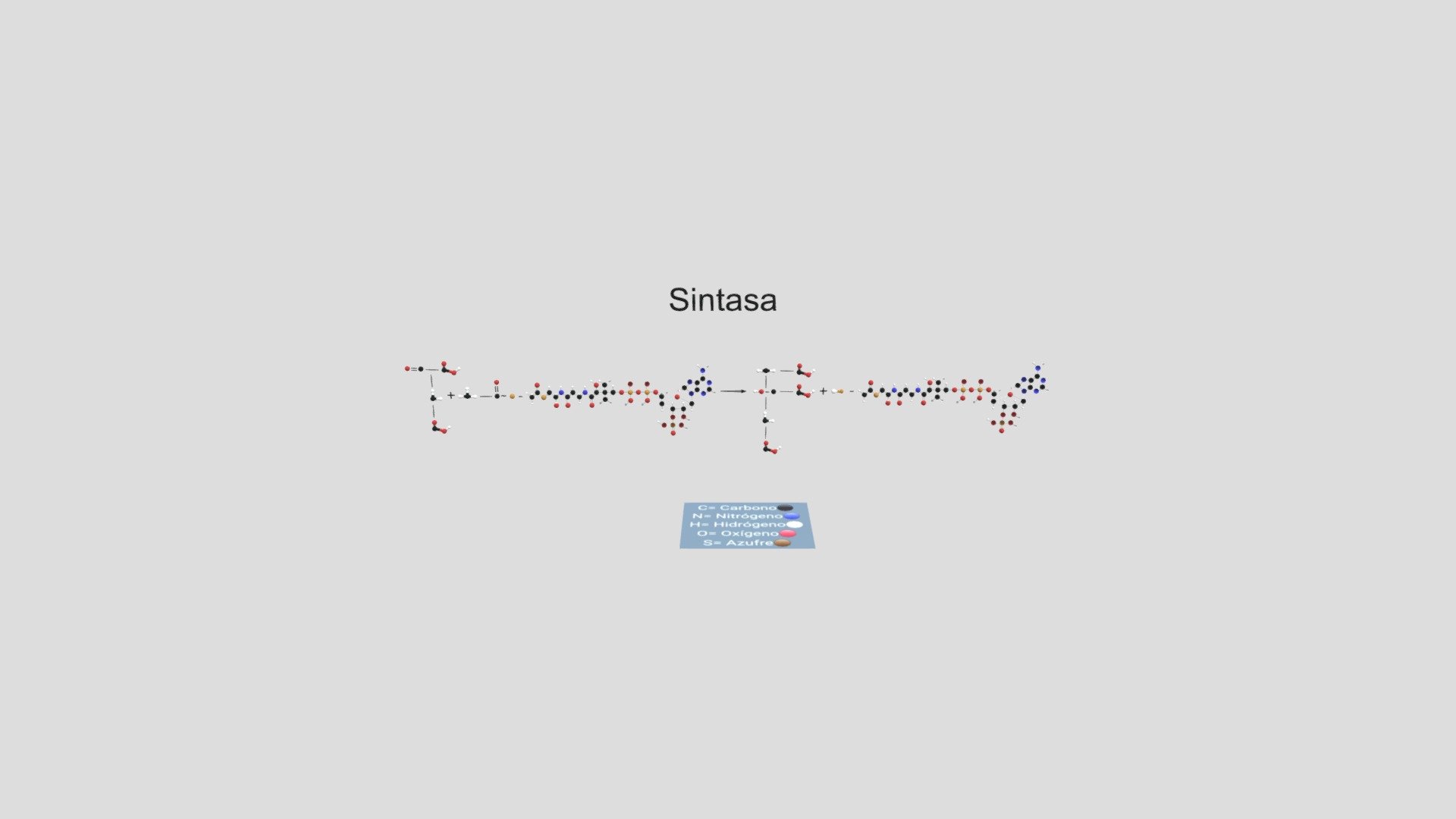 Enzima Sintasa