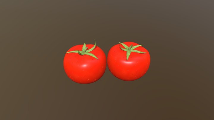 Tomato 1 3D Model