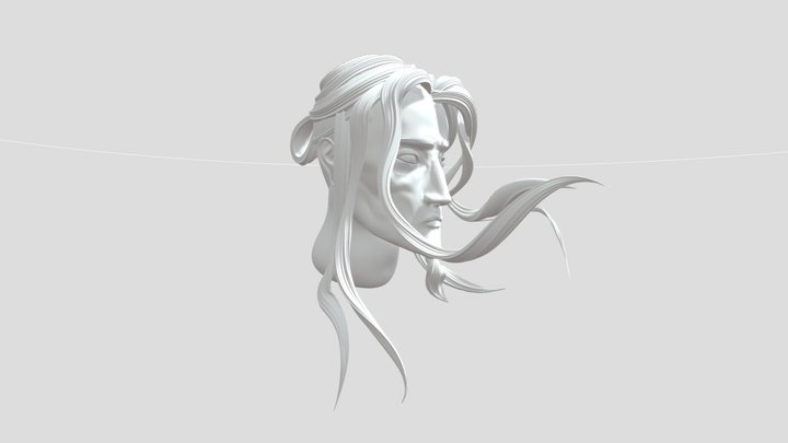 Hair Style long custom 3D Model