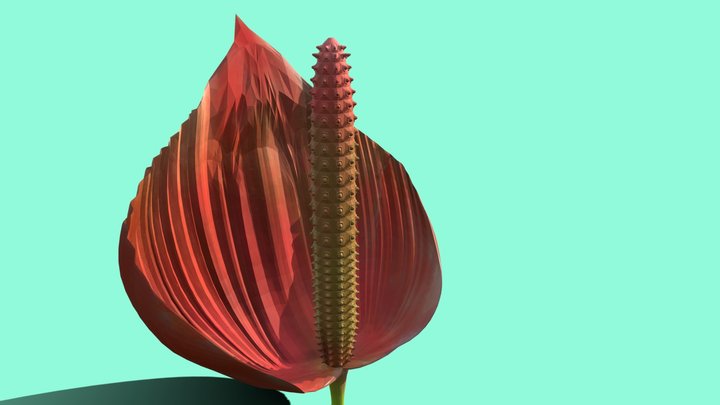 Anthurian Hawaiian Flower 25 – Modelo 3D gratuito STL