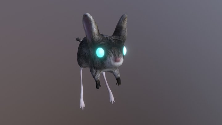 Rato Canguru 1.0 3D Model