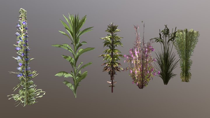 Low Poly Foliage Pack 01 3D Model