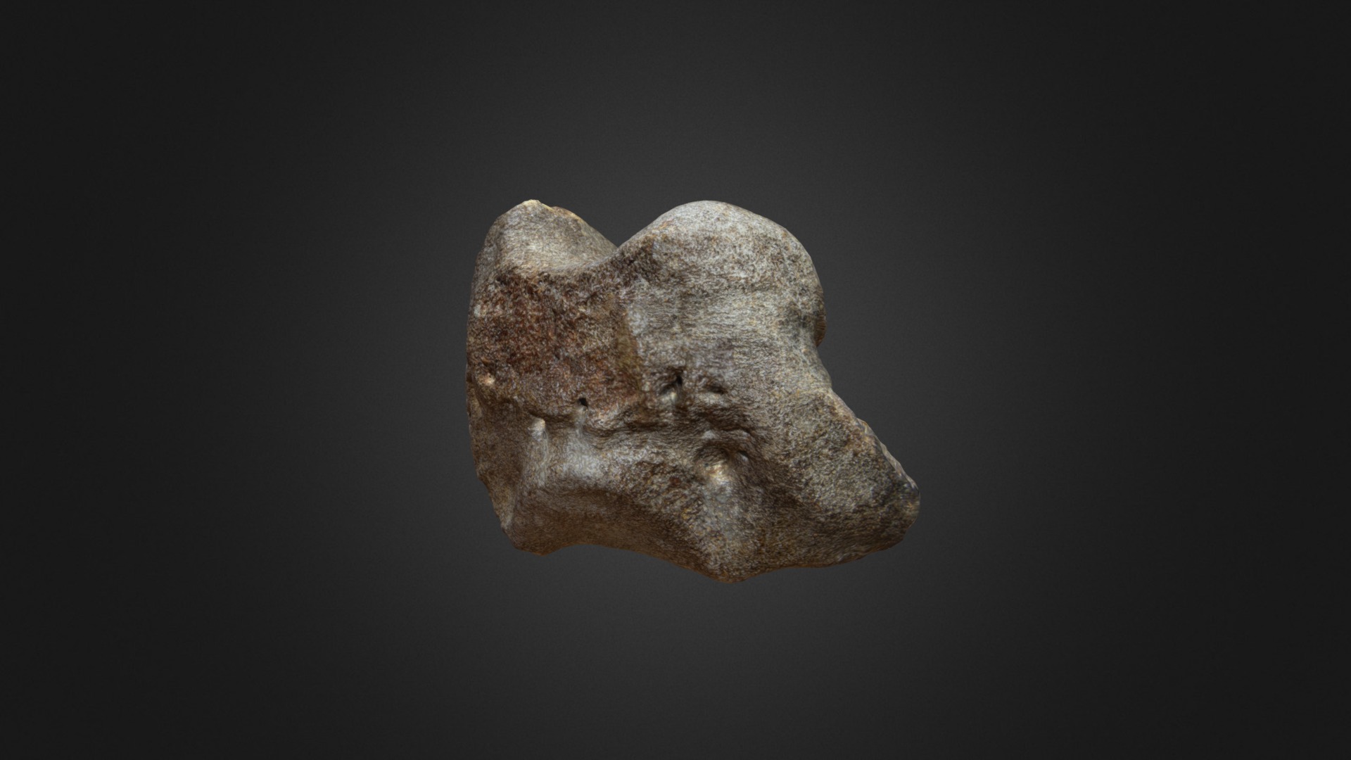 3D model Woolly Rhino Wristbone - This is a 3D model of the Woolly Rhino Wristbone. The 3D model is about a stone with a dark background.