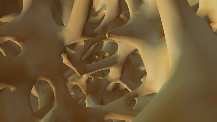Bone-climb challenge 3D Model