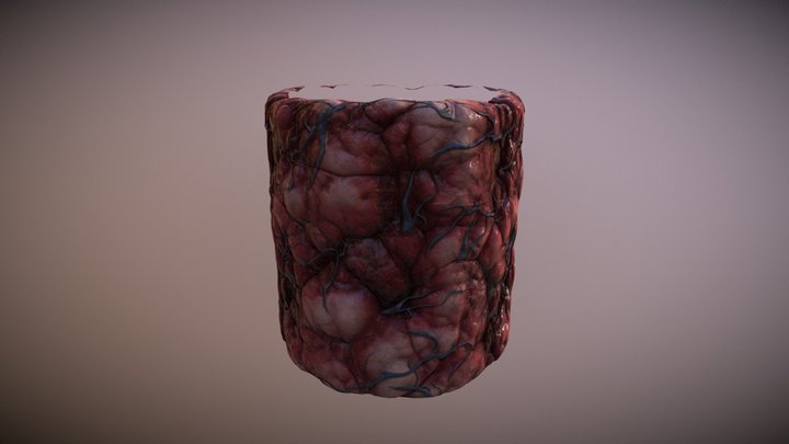 Substance Material: Flesh 3D Model