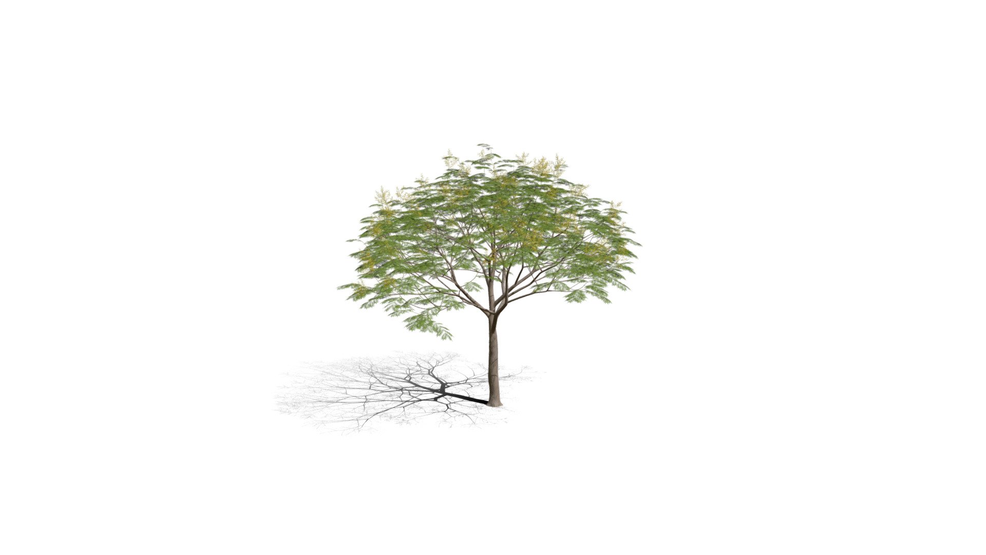 Realistic HD Chinese flame tree (8/20) - Download Free 3D model by