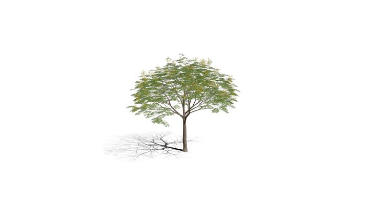 Realistic HD Chinese flame tree (8/20) 3D Model