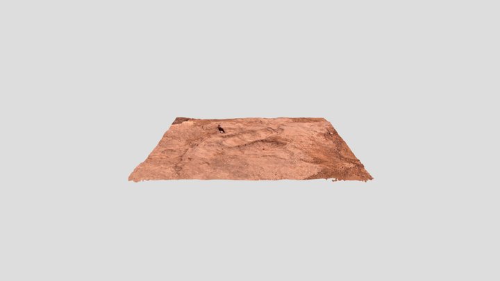 Dilophosaurus Footprint #2 3D Model