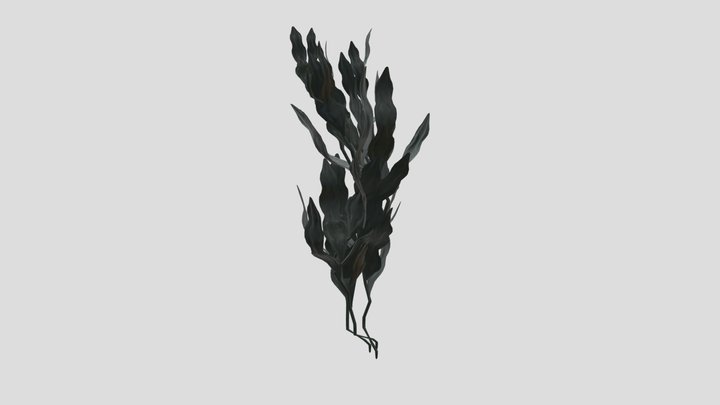 Claret Asset Base Seaweed 3D Model