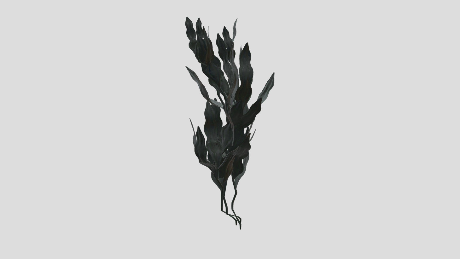 Claret Asset Base Seaweed
