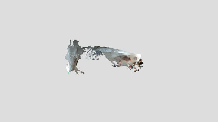 Titou 3D Model