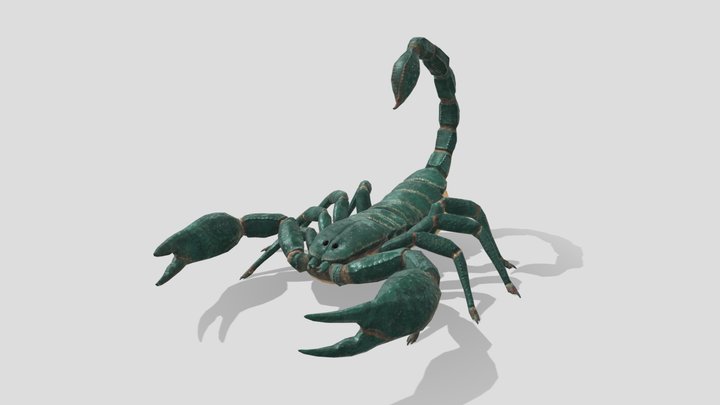 Low Poly Forest Scorpion 3D Model