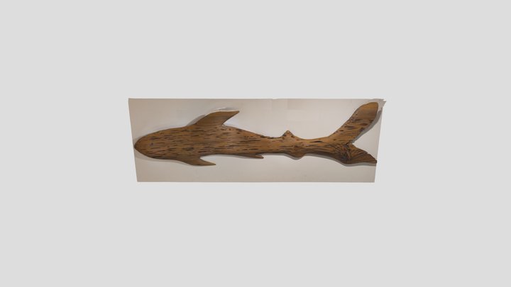 Cypress Shark 3D Model