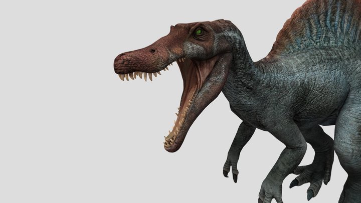 Spinosaurus 3D Model