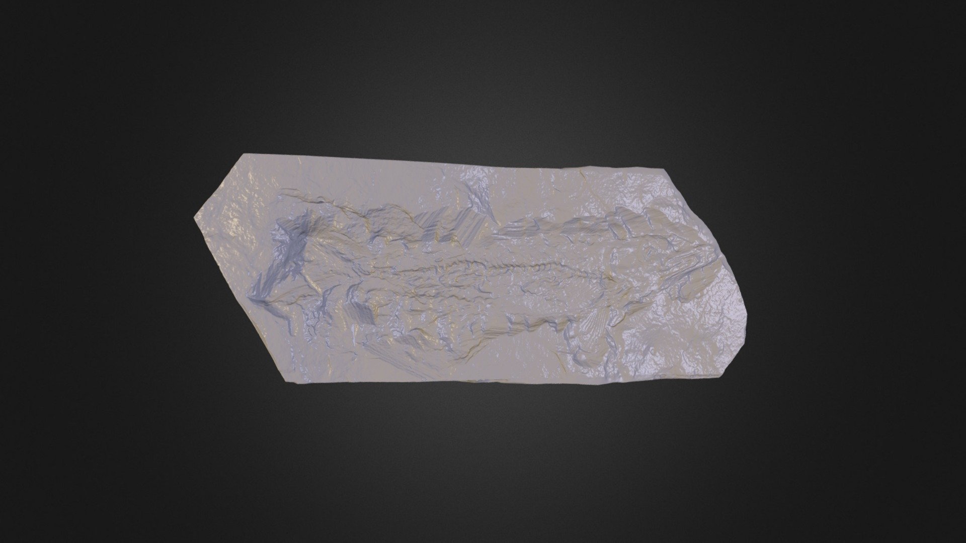 Fish Fossil (untextured)