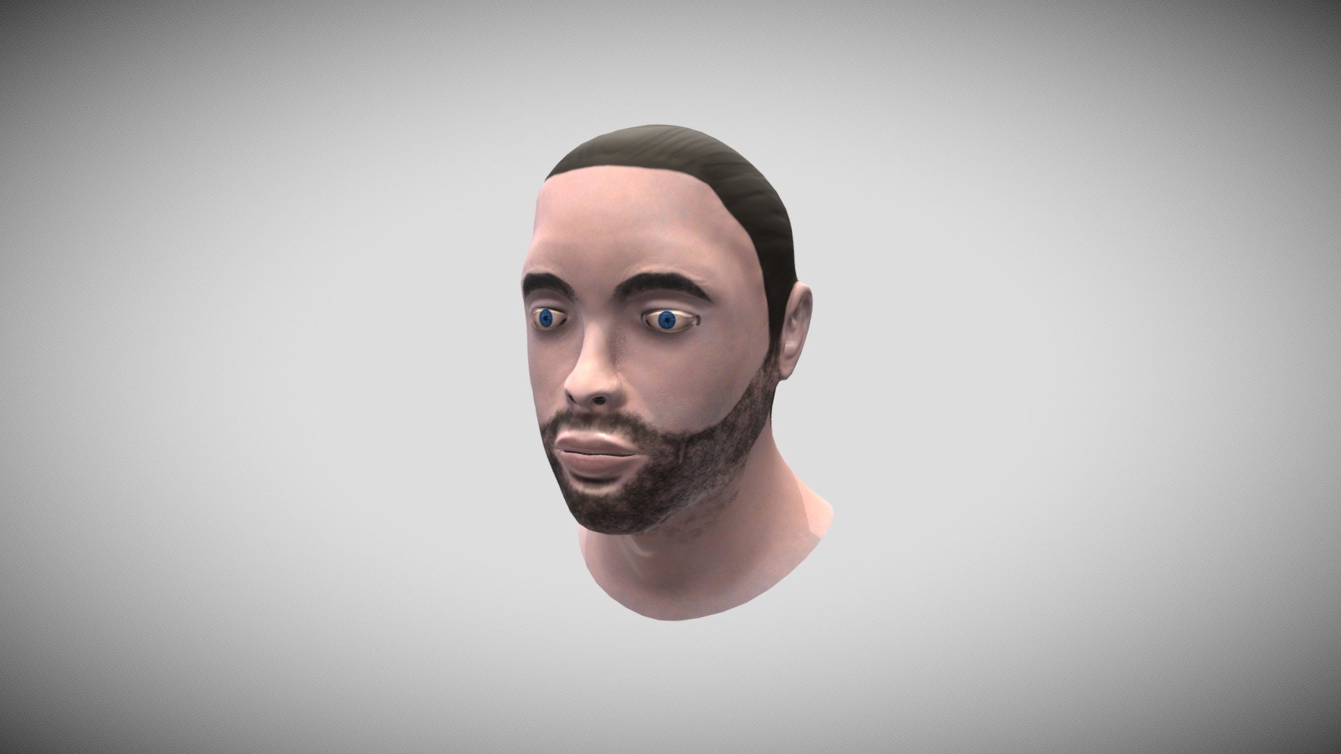 Bust Project