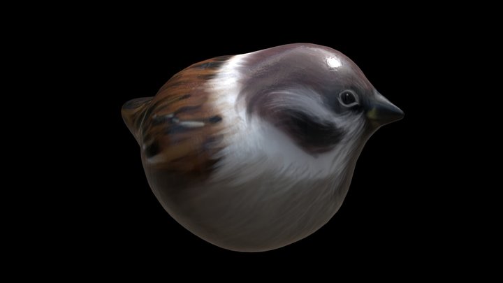 Handpainted Wooden Sparrow 3D Model
