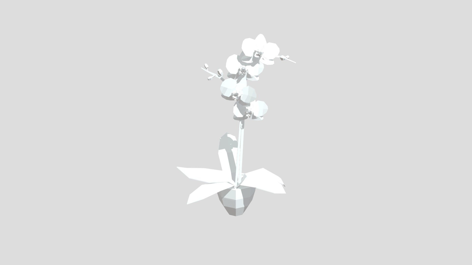 Orchid from Poly by Google