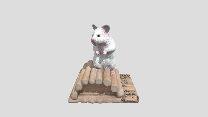 Curious Hamster 3D Model