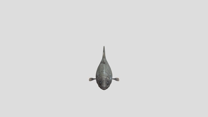 🐟 Abyssal Grenadier Deep-Sea Fish 3D Model