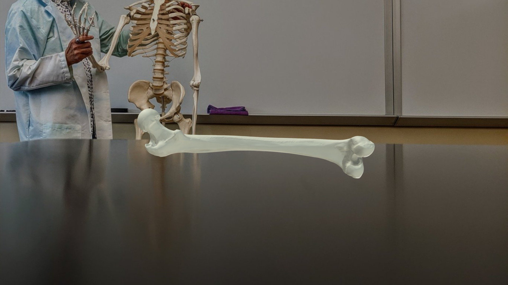Human femur - left - 3D model by Dr. Alex Cheroske (@aquaman27 ...