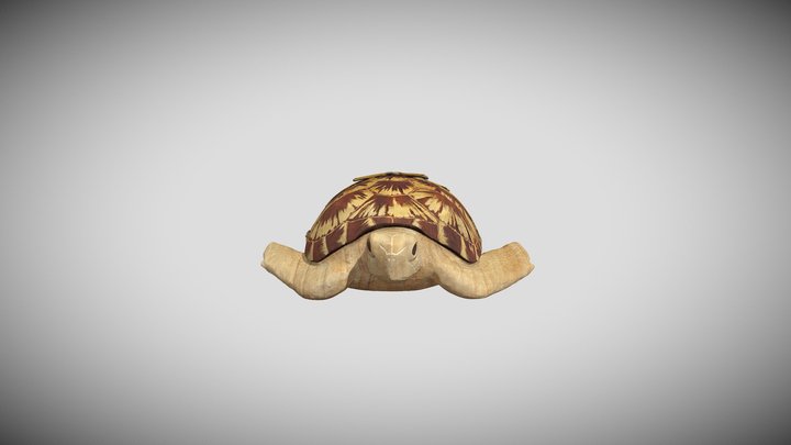 Turtle by Ao Inomata 3D Model