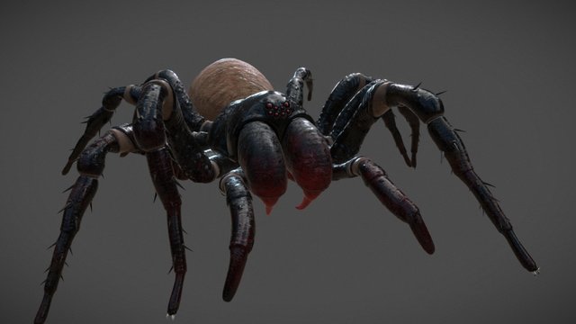 spider 3D Model
