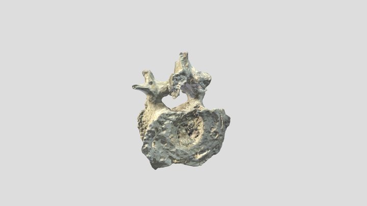 U.E.1096 Lumbar Vertebra 3D Model