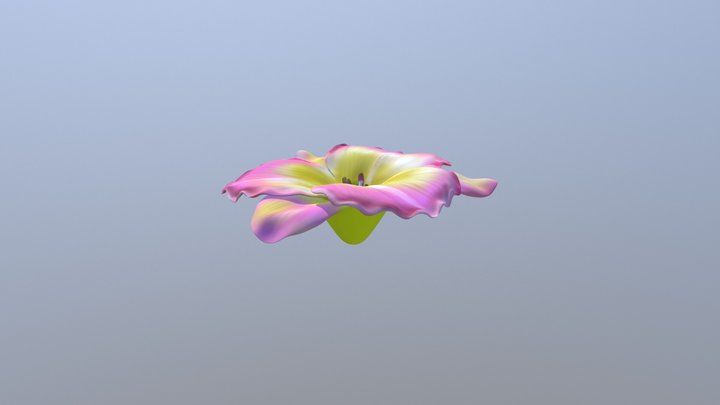 Daylily 3D Model