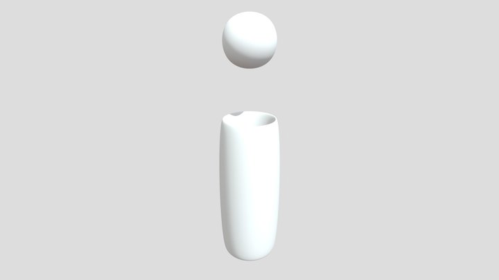 My model 3D Model