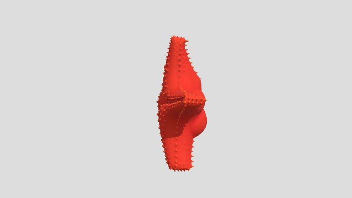 roude star 3D Model
