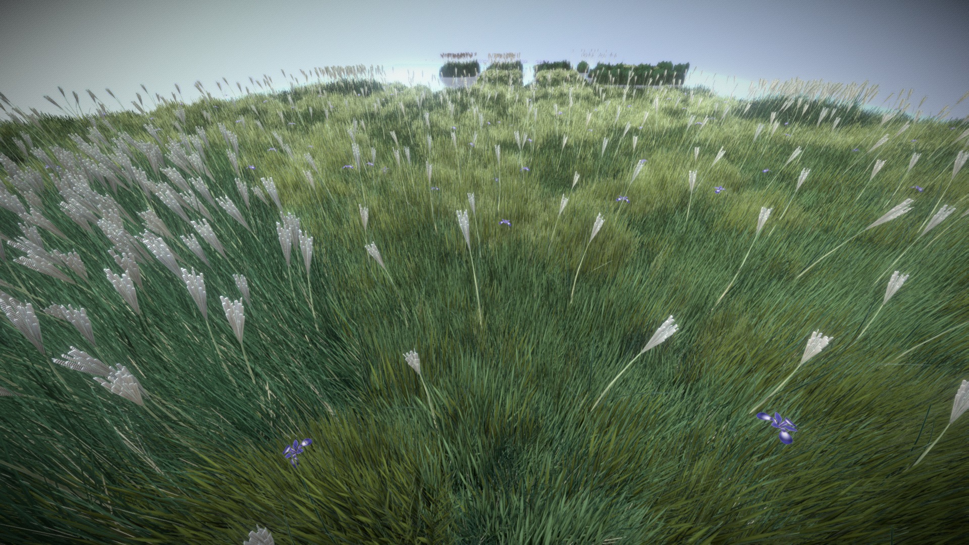 Reeds (Wip-4) - 3D model by VIS-All-3D (@VIS-All) [11ce46f] - Sketchfab