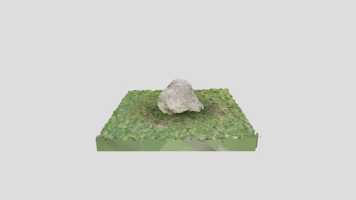 HillyFields_Rock1_Scan2023-01-11 3D Model