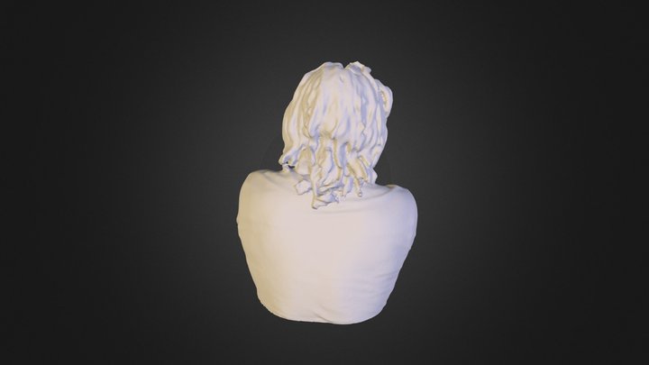 Test Gvishi 3D Model