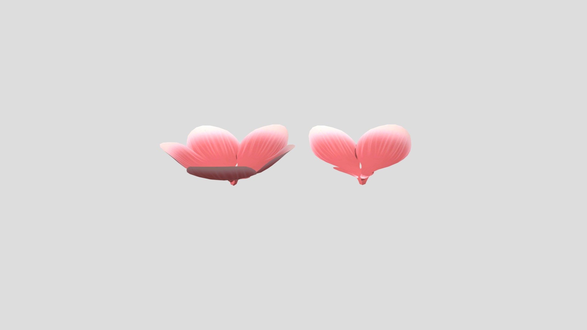 花瓣