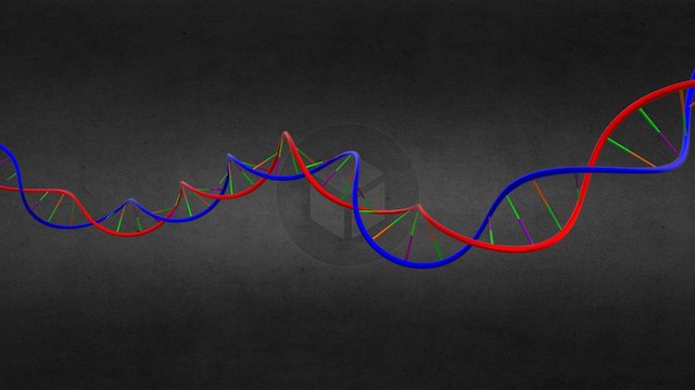 DNA Animation - Slightly smoother animation 3D Model