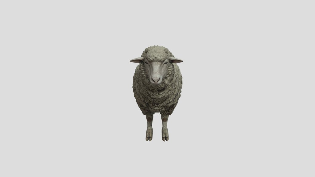Realistic Woolly Sheep - Game Ready Asset