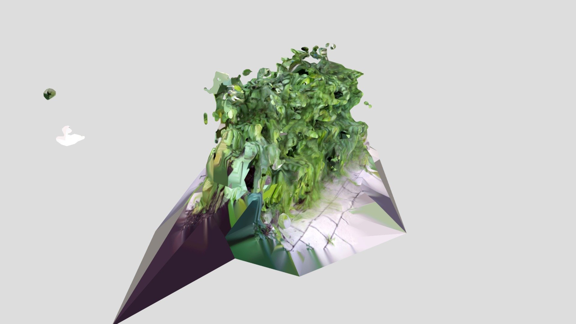 plant_02