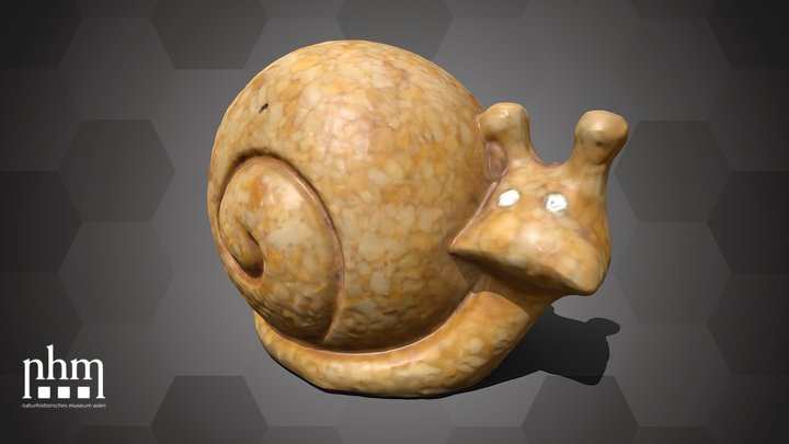 Stone snail (NHMW-ZOO-MO-0081100-ETH-184) – Modello 3D gratuito STL