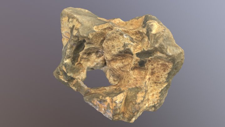 [3D-Scan] Gold Nugget 3D Model