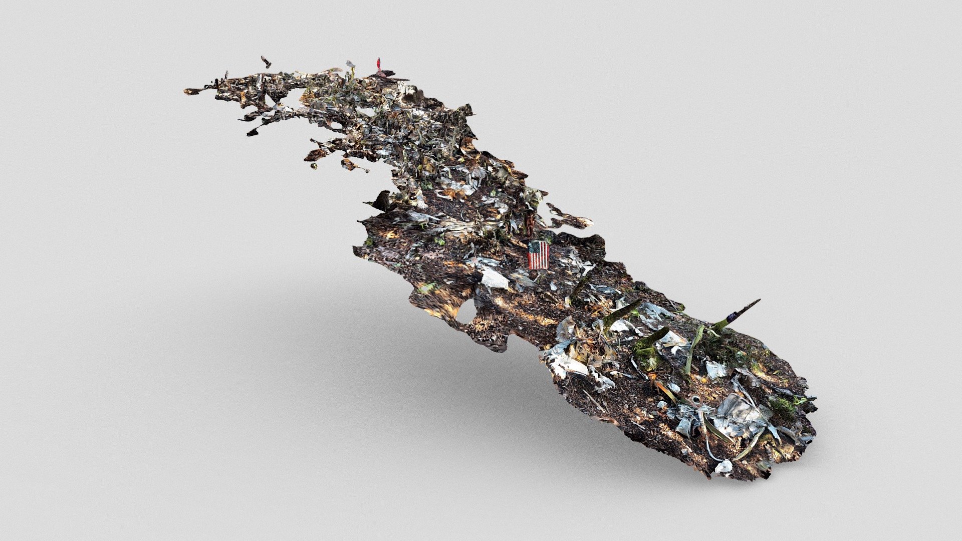 Mount Tamalpais Aircraft Crash Site (LiDAR)