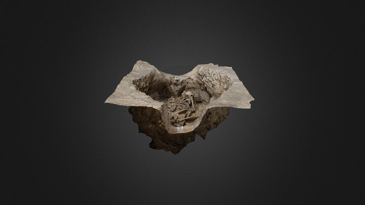 Crouched Bronze Age Inhumation 3D Model