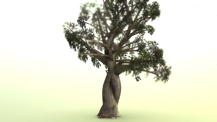 Tree2 3D Model