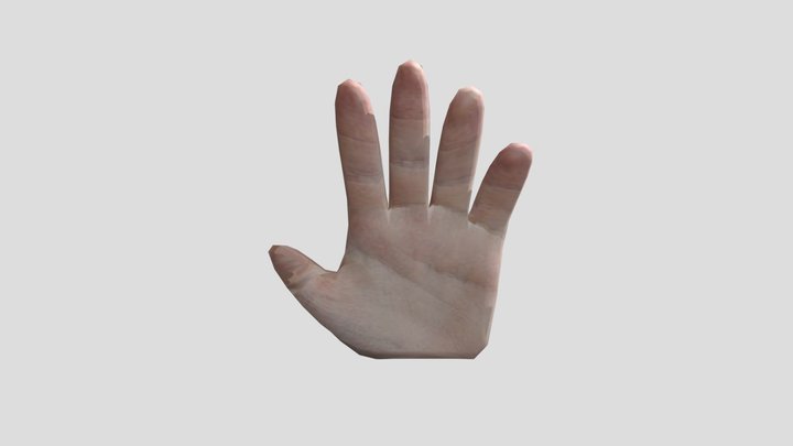 Mano 3D Model